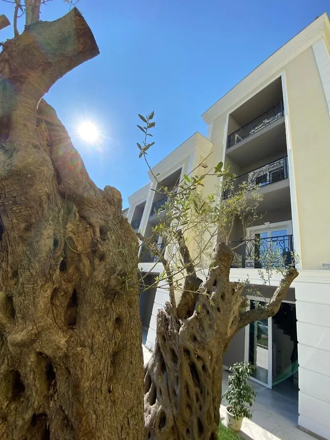 ****  Venis Hotel Tirana Albanien